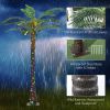 Outsunny 6' Artificial Lighted Palm Tree with 3 Coconuts, 240 LED Light, Color Changing Light Up Tropical Palm Tree with Remote for Indoor, Outdoor, P