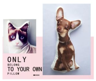 Customize Irregular Pillow Pet Pillow (Option: 70x70-Two sides)